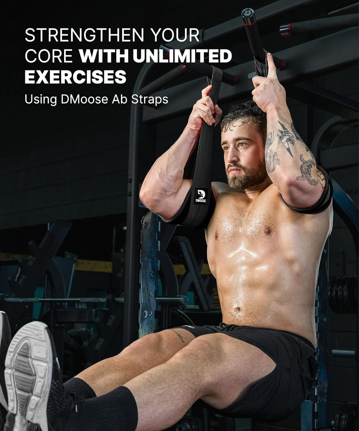 Dmoose Hanging Ab Straps for Pull up Bar & Core Strength Training (Pair) - Soft Padded Exercise Straps for Ab Swing & Leg Raises, Hang Bar Strap with anti Rust Carabiners, Abs Equipment for Home & Gym