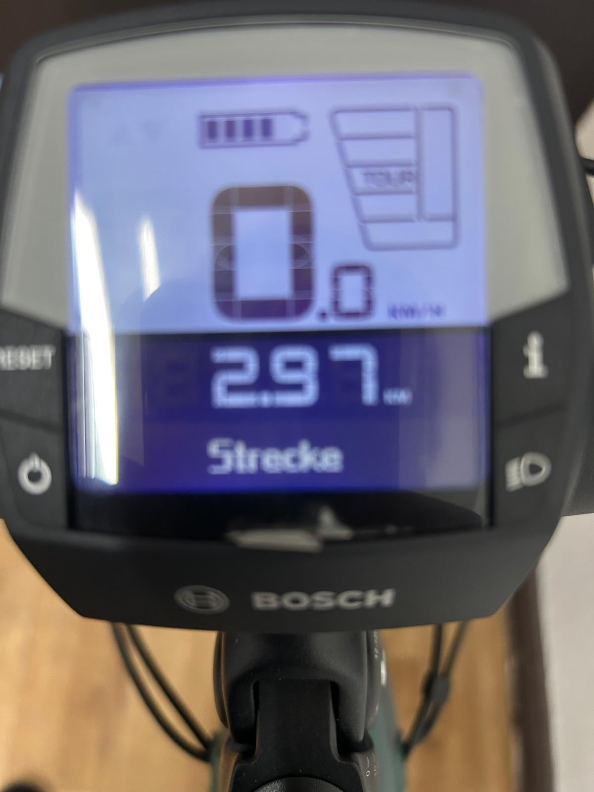 Trenoli Livenza Sportivo M Bosch Trekking E-Bike - Vorführrad