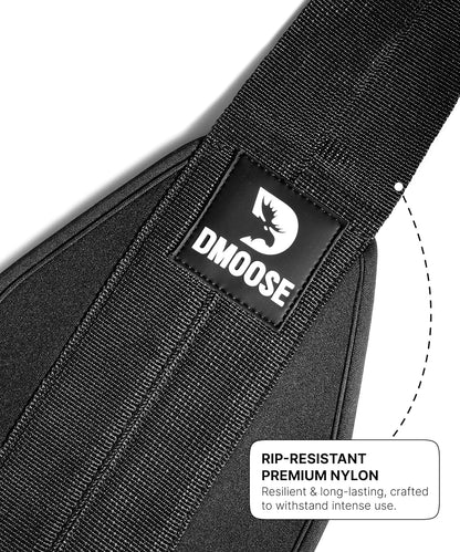 Dmoose Hanging Ab Straps for Pull up Bar & Core Strength Training (Pair) - Soft Padded Exercise Straps for Ab Swing & Leg Raises, Hang Bar Strap with anti Rust Carabiners, Abs Equipment for Home & Gym